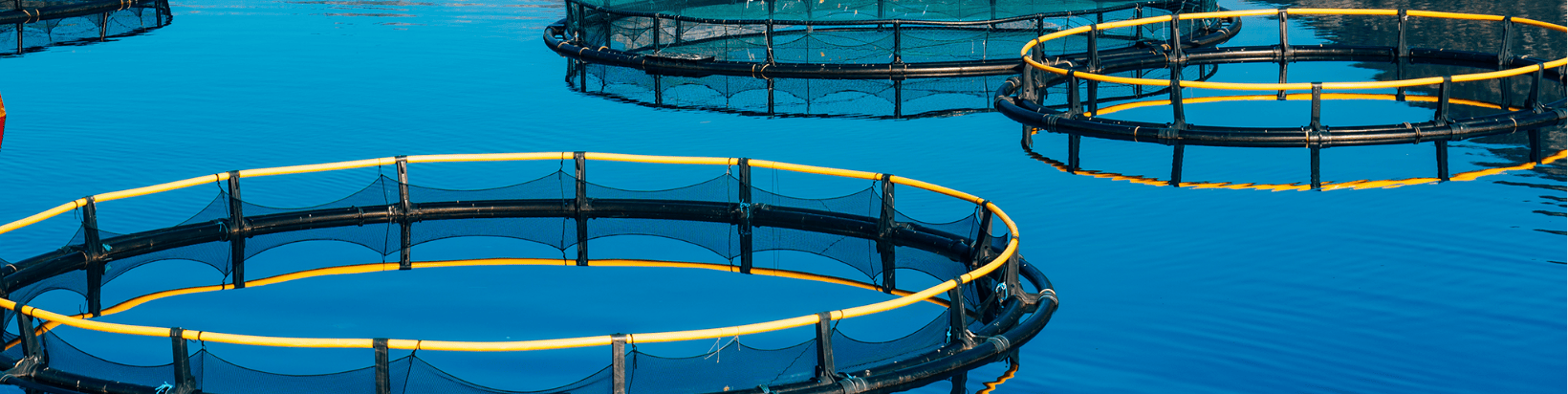 Aquaculture