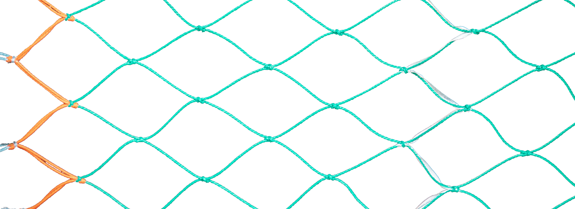 grape net