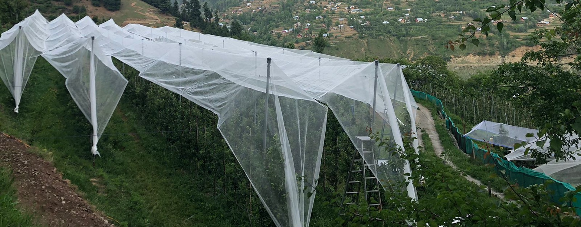 Anti Hail Net Protection By GTFL
