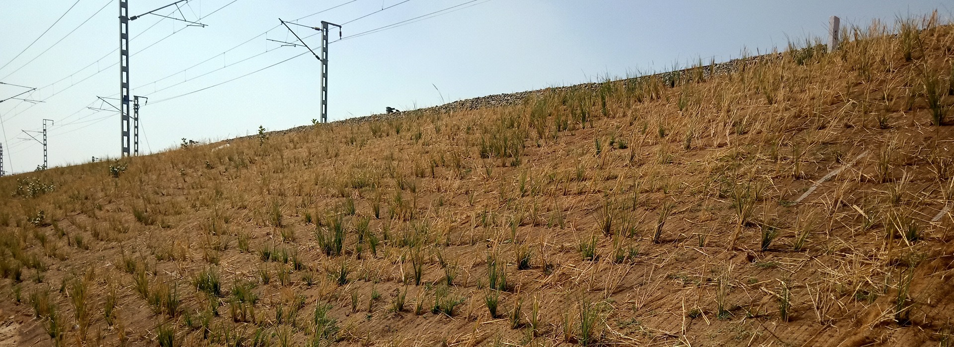 Erosion Control Mat of Garware Technical Fibres