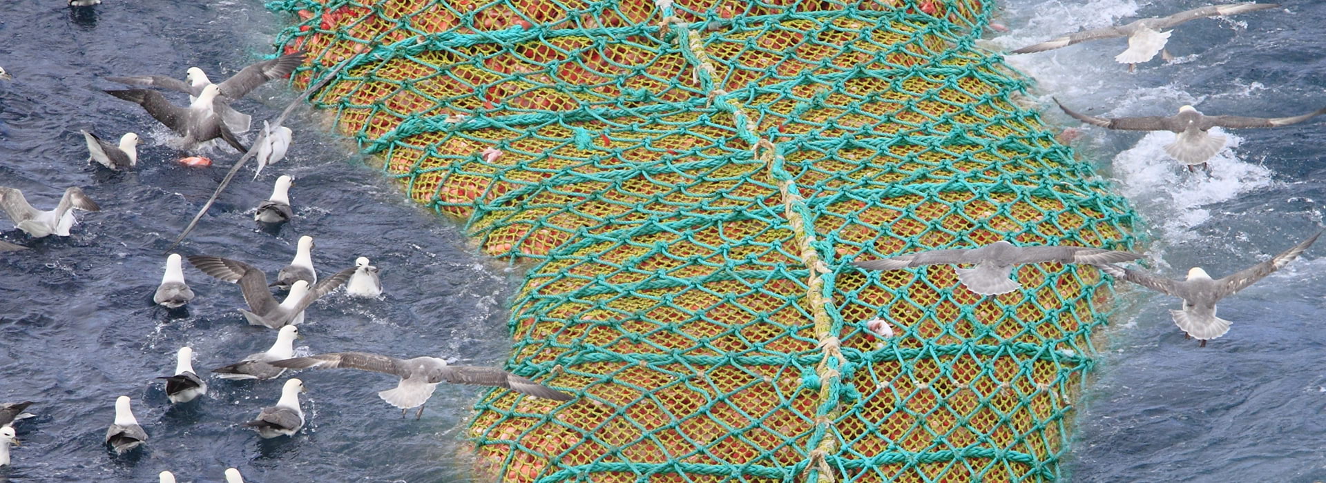 Trawler Fishing Net of Garware Technical Fibres 