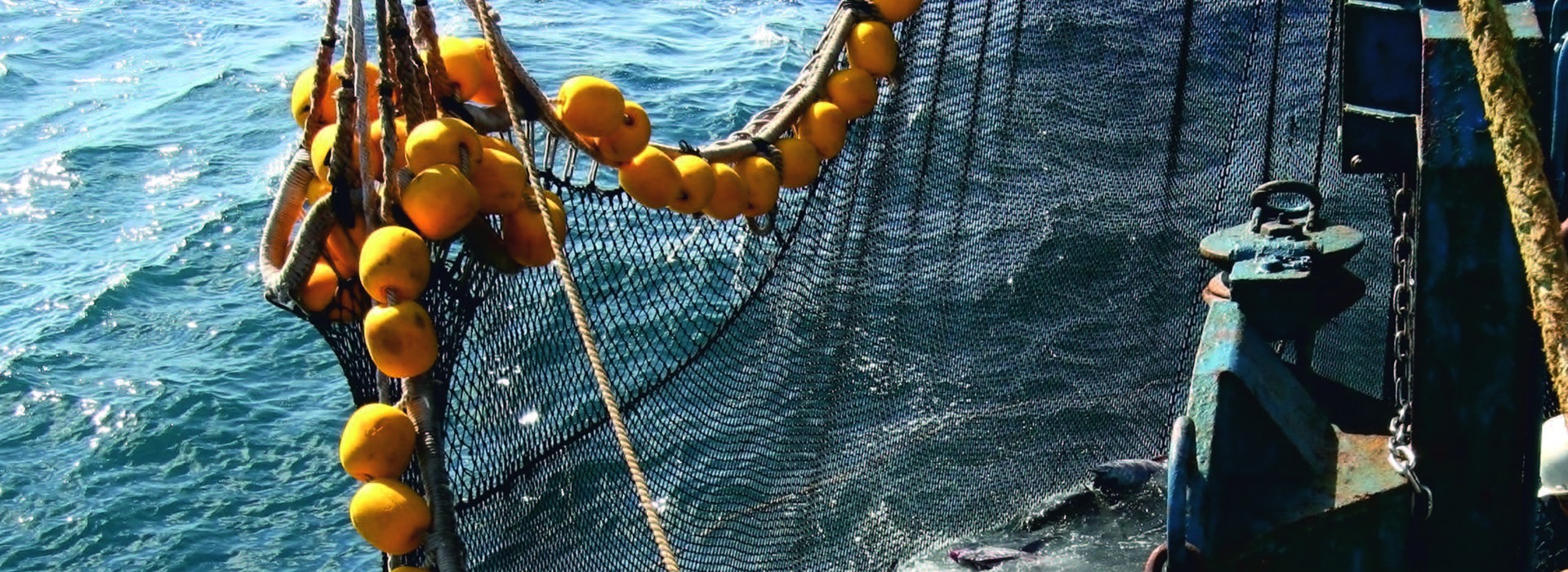 Purse seine nets of Garware Technical Fibres