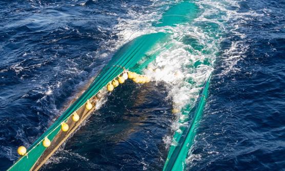 Bottom Trawling Twisted Net of Garware Technical Fibres