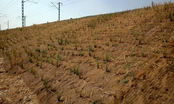 Erosion Control Mat of Garware Technical Fibres