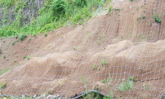 Slope Protection Solutions of Garware Technical Fibres