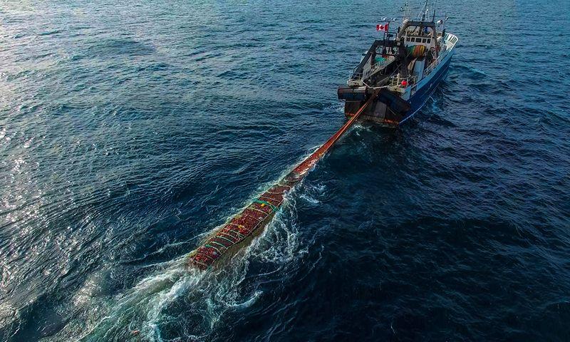 Bottom Trawling Net of Garware Technical Fibres